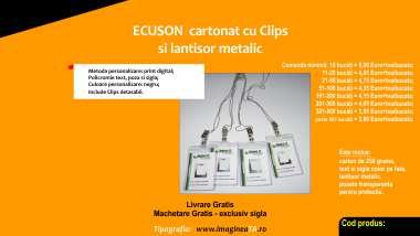 Ecuson cu clips si lantisor metalic