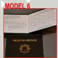 Legitimatii Model 6 din carton Rigid si coperta personalizata auriu