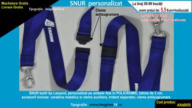 Legitimatii model 2 simple, din plastic pentru portofel