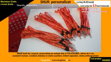 Legitimatii model 4 din carton subtire cu accesorii incluse, port-legitimatie transparenta, clips, lantisor metalic